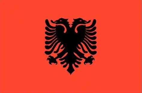 阿尔巴尼亚地拉那2C/2G/40Ghdd/2T月流量/一个月(Linux系统)