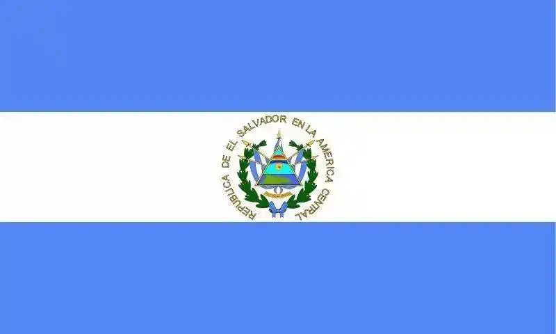 萨尔瓦多1C/1G/10Ghdd/2T月流量/一个月(Linux系统)